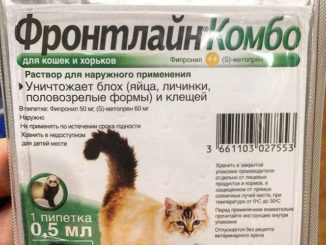 frontline voor katten gebruiksaanwijzing
