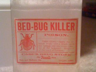 poison pour punaises de lit